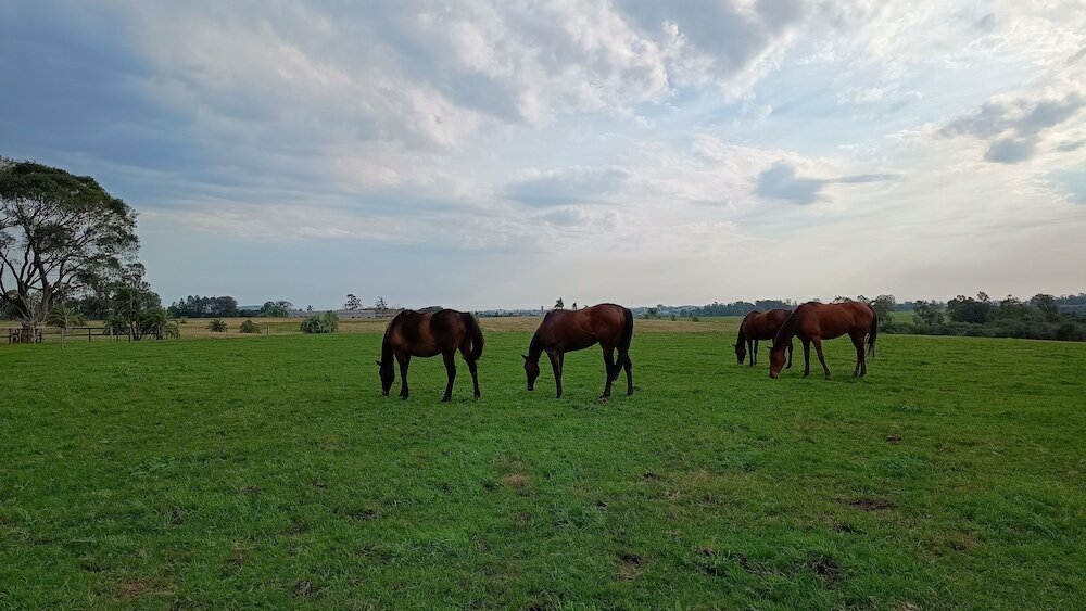 Фото Haras Di Cellius