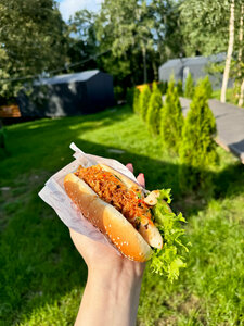 В лесу ели (Leningrad Region, Priozerskiy District, Sosnovskoye selskoye poseleniye, derevnya Novozhilovo), restaurant
