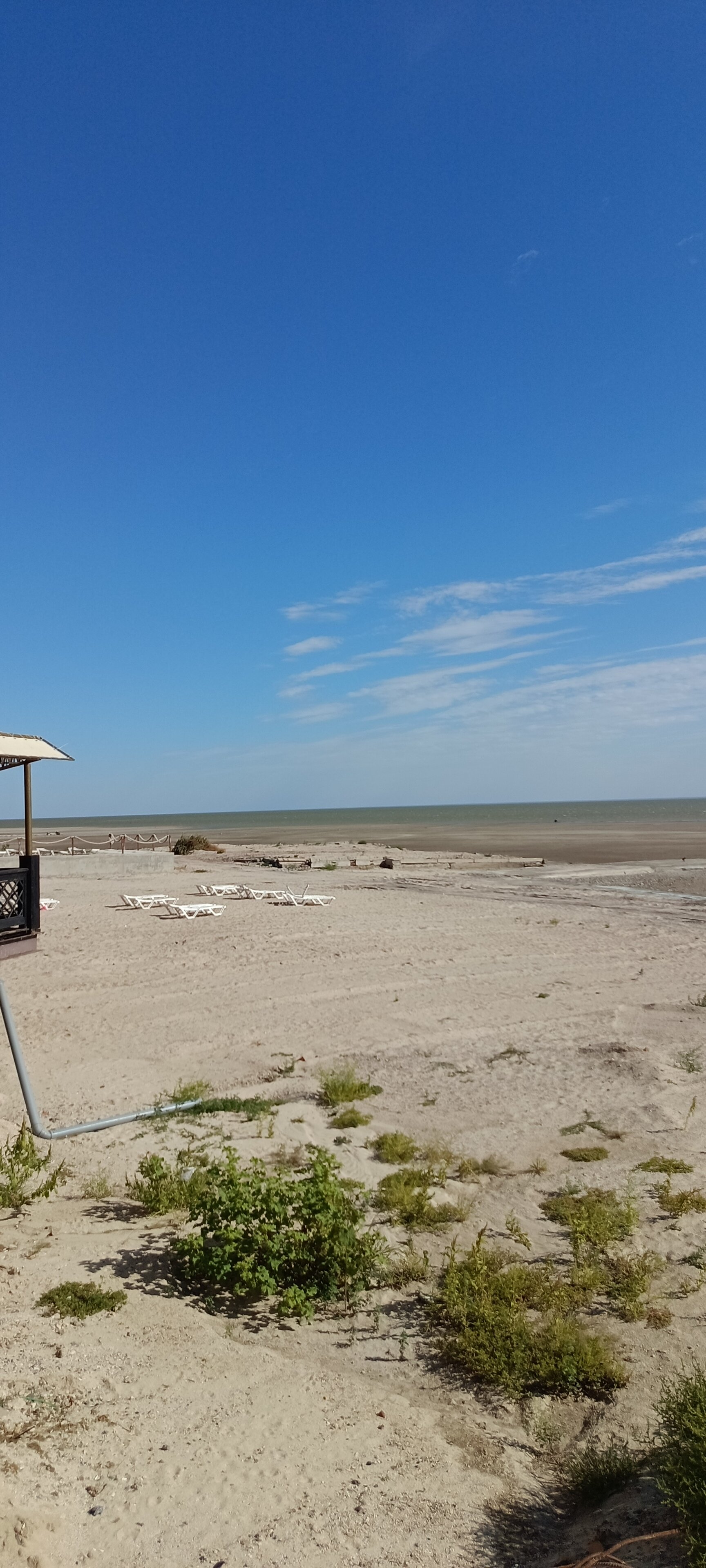 Фото Золотое Руно