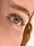 Tuaeva Beauty (Bryullovskaya Street, 3) ، شريط حاجب العين