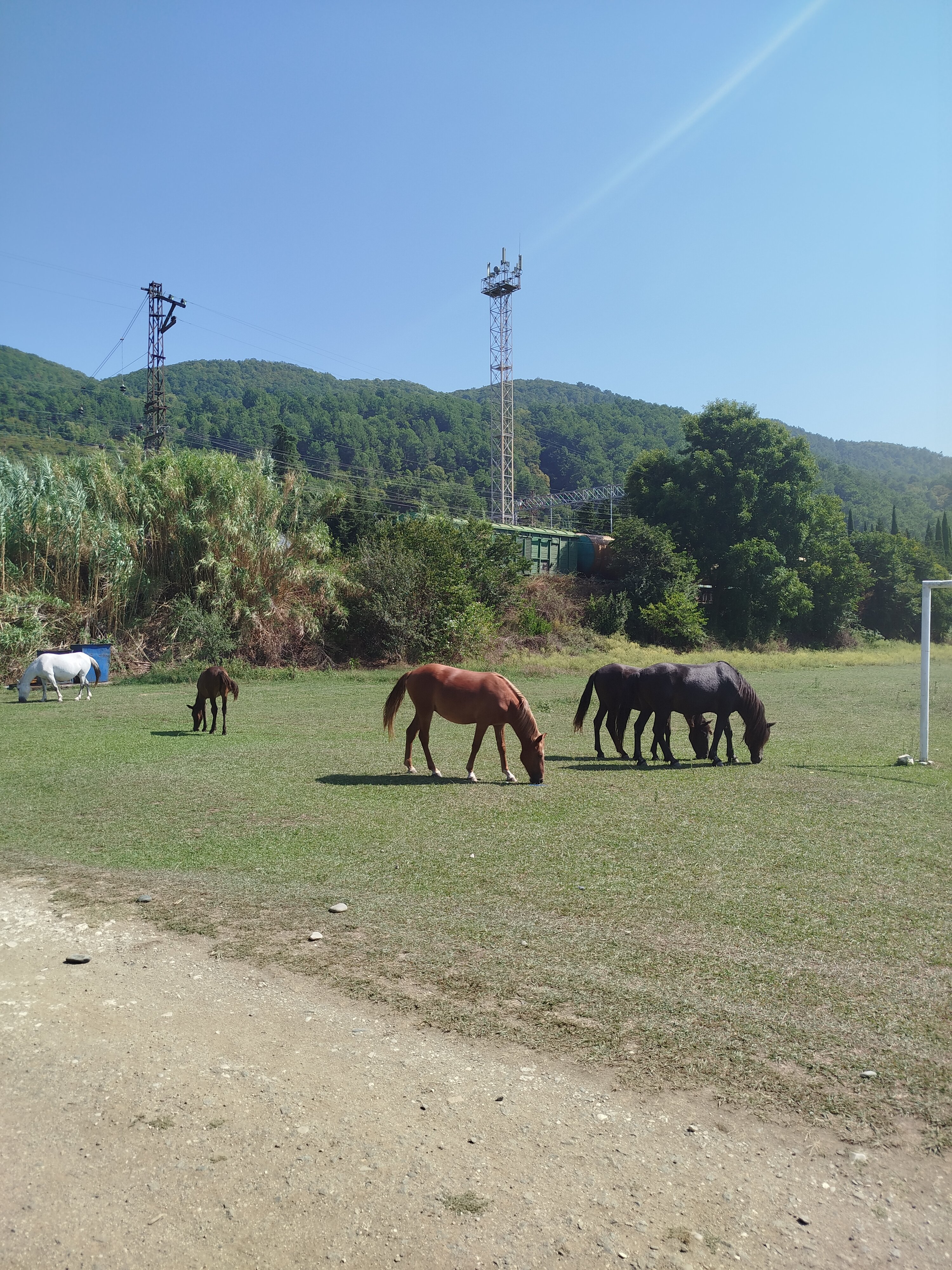 Фото Парк Отель Абхазия