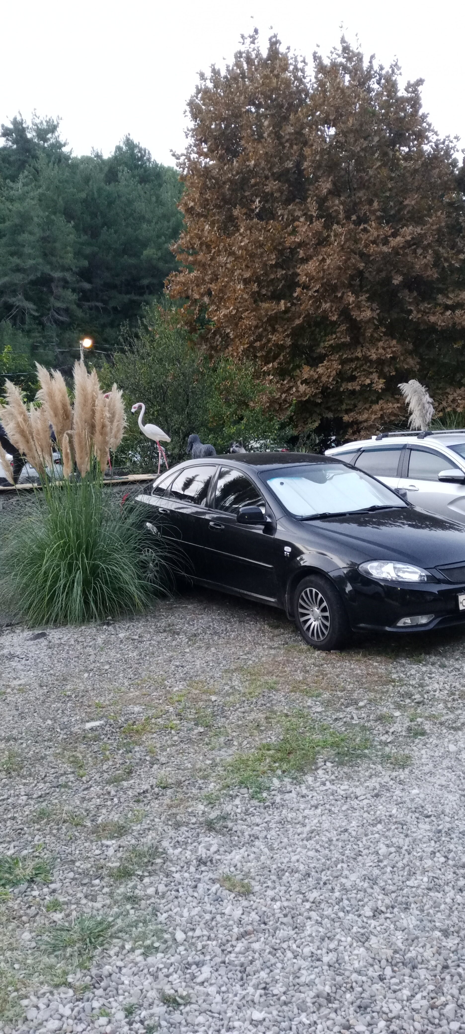 Фото Море и Горы