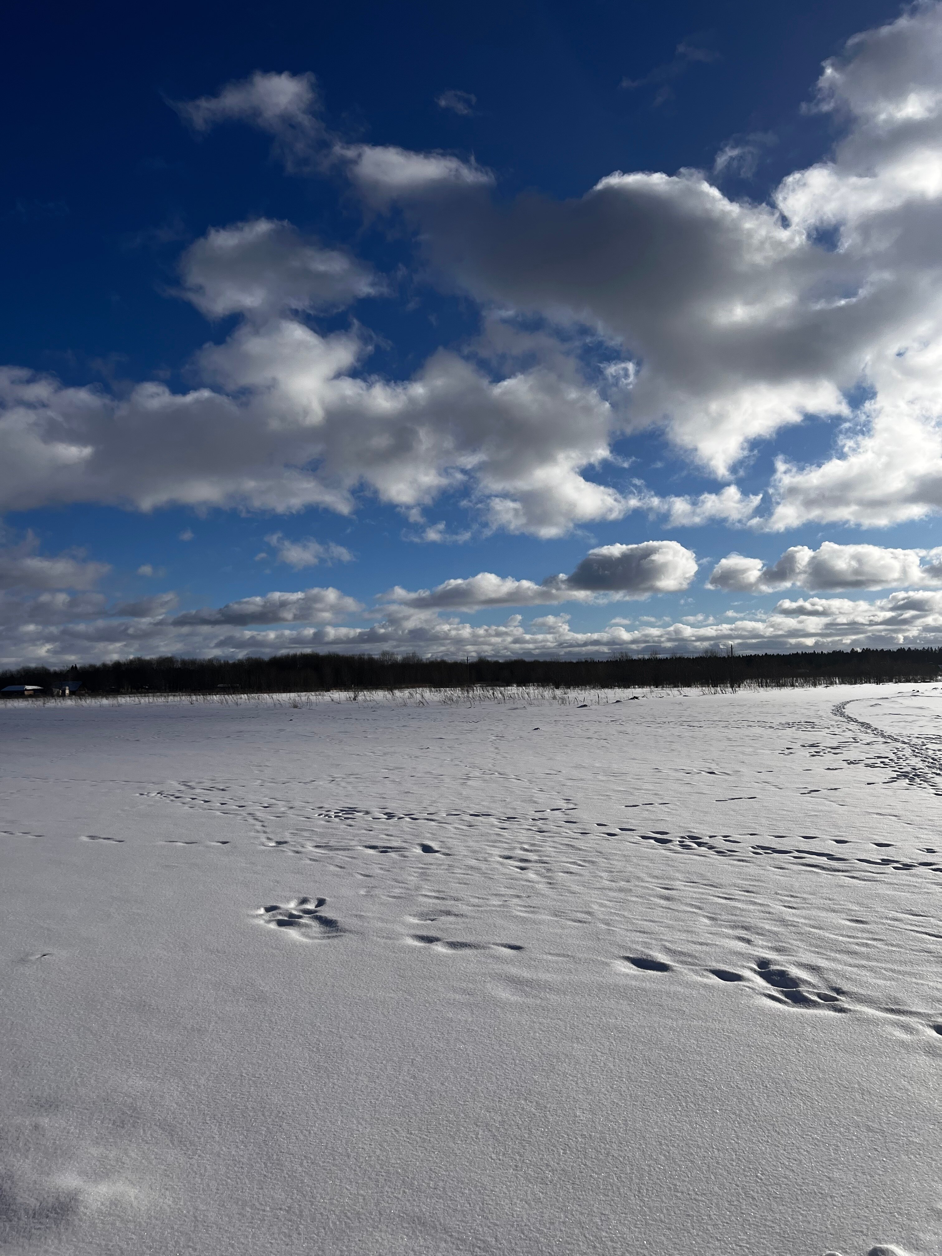 Фото Монтенегро