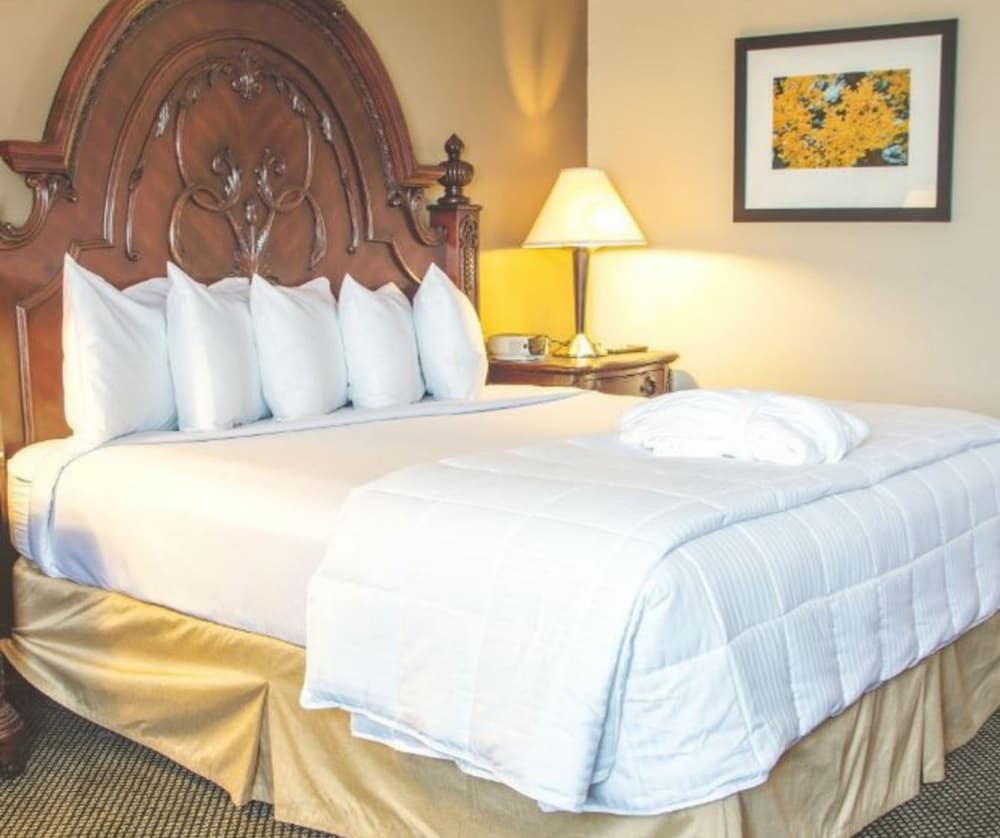 Фото Mcm Eleganté Hotel & Conference Center Beaumont