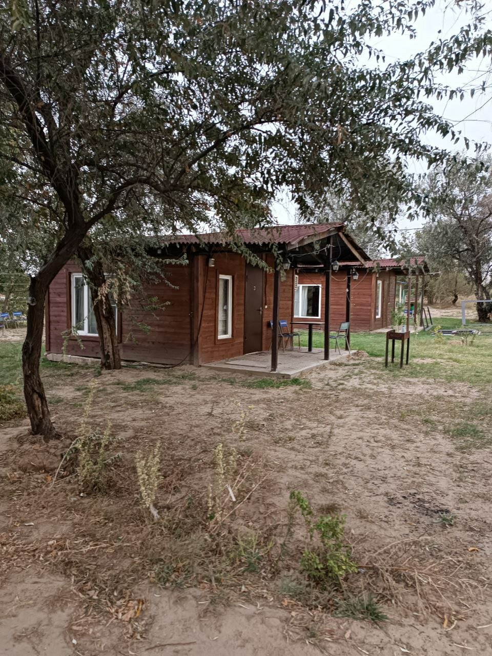 Фото Ягода-Малина