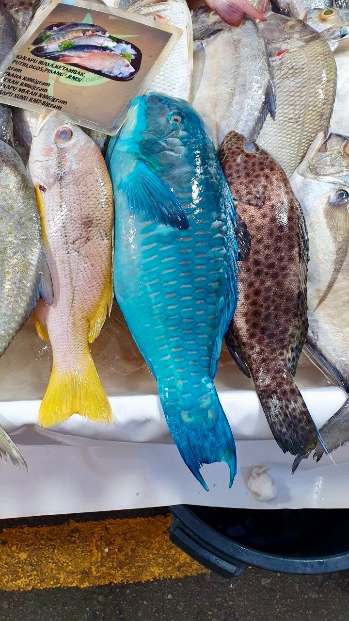 Фото Mercure Kota Kinabalu City Centre