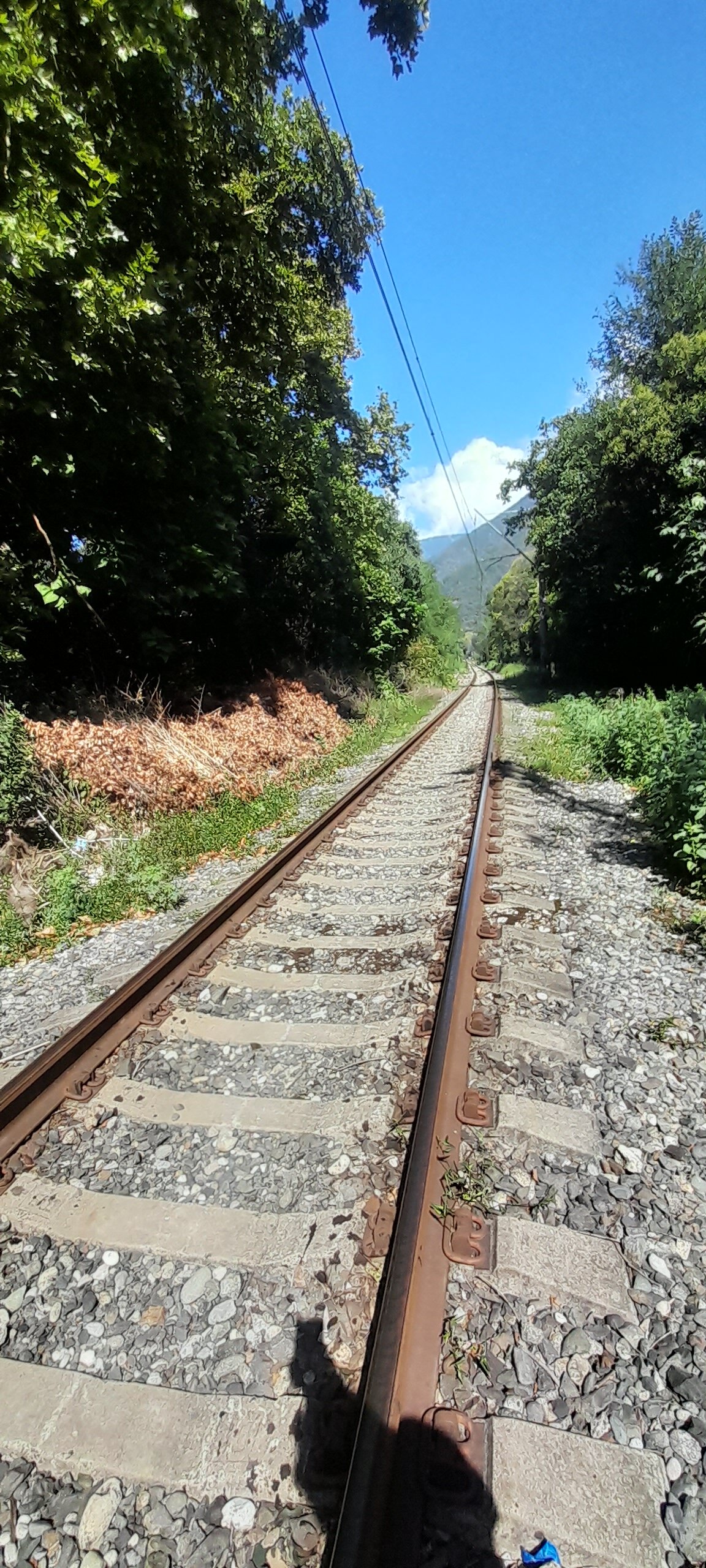 Фото Golden Gagra