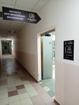 Griffin (Novosibirsk, ulitsa Malygina, 11/2), tienda de repuestos y artículos para automóviles