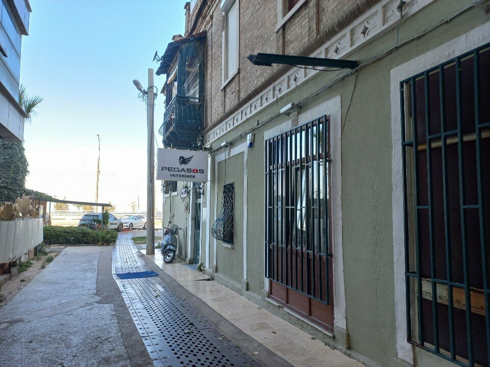 عيادة بيطرية Pegasos Veterinary Clinic ، إزمير، صورة