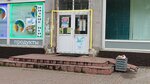 Gradusy (Vsevolozhskiy prospekt, 43), grocery