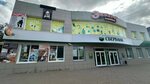 Окна двери (Trnavskaya ulitsa, 46), ventana