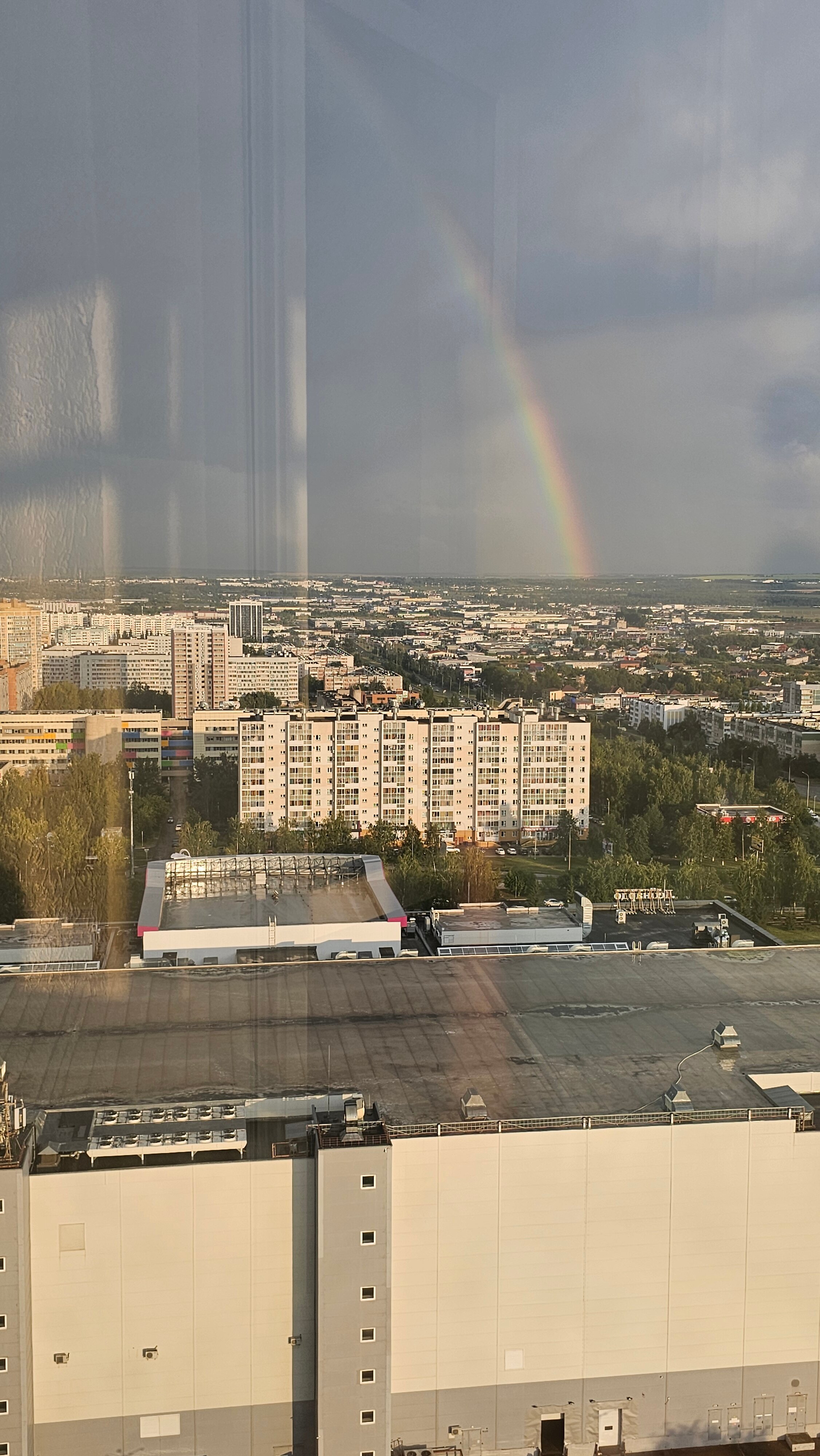 Фото Апартаменты Полет птицы