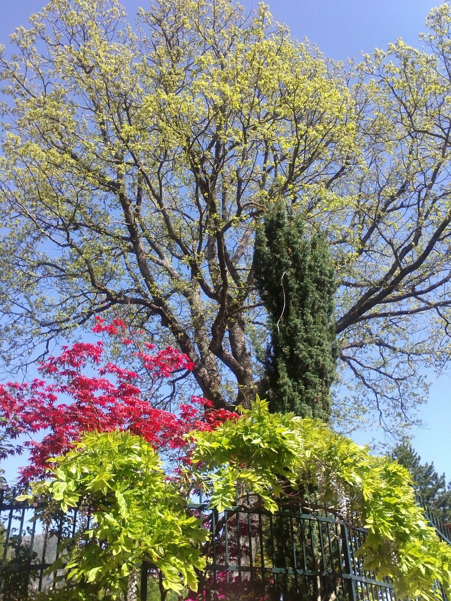 Фото B&b Dimora Morelli