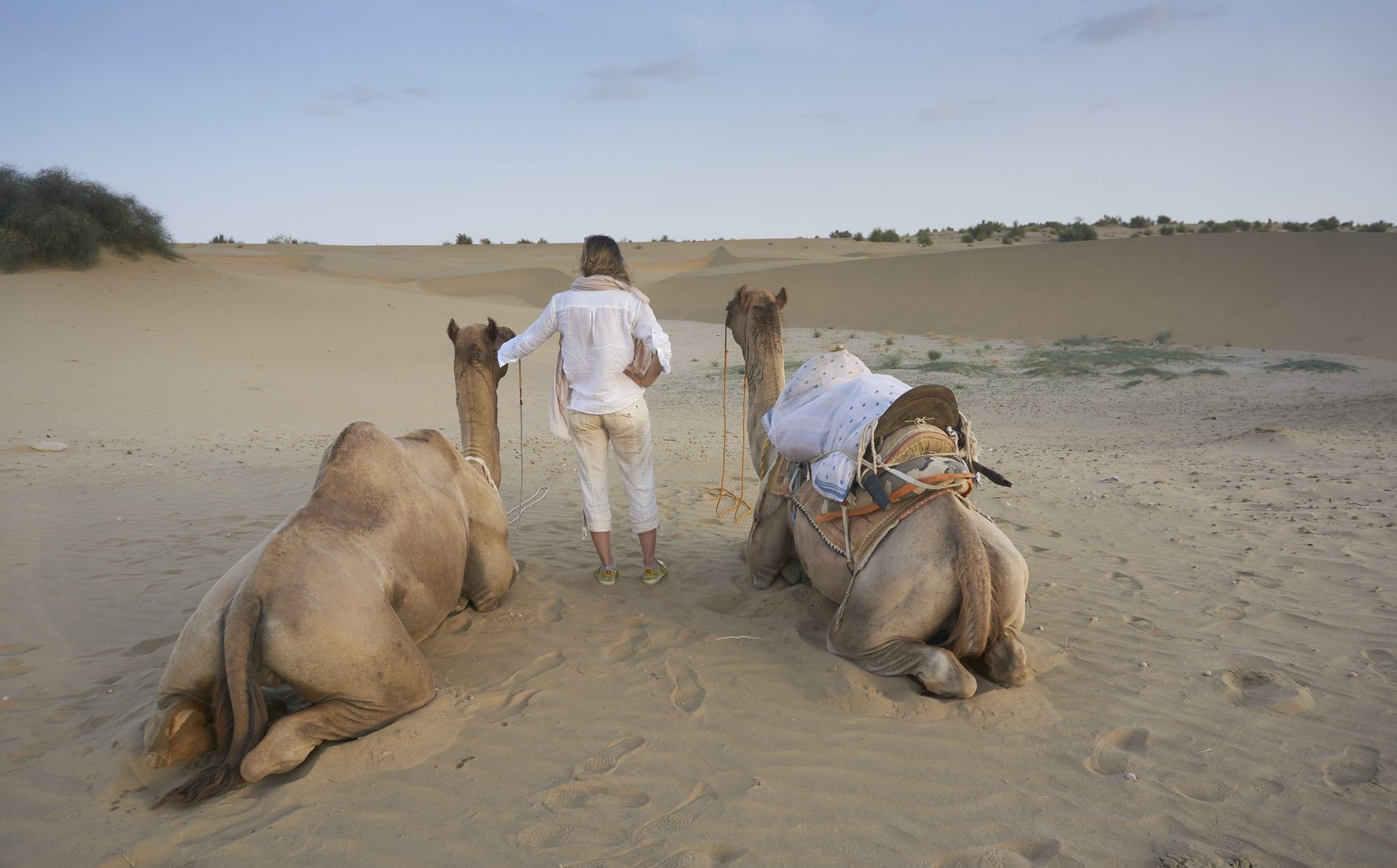 Фото Hotel Royal Haveli