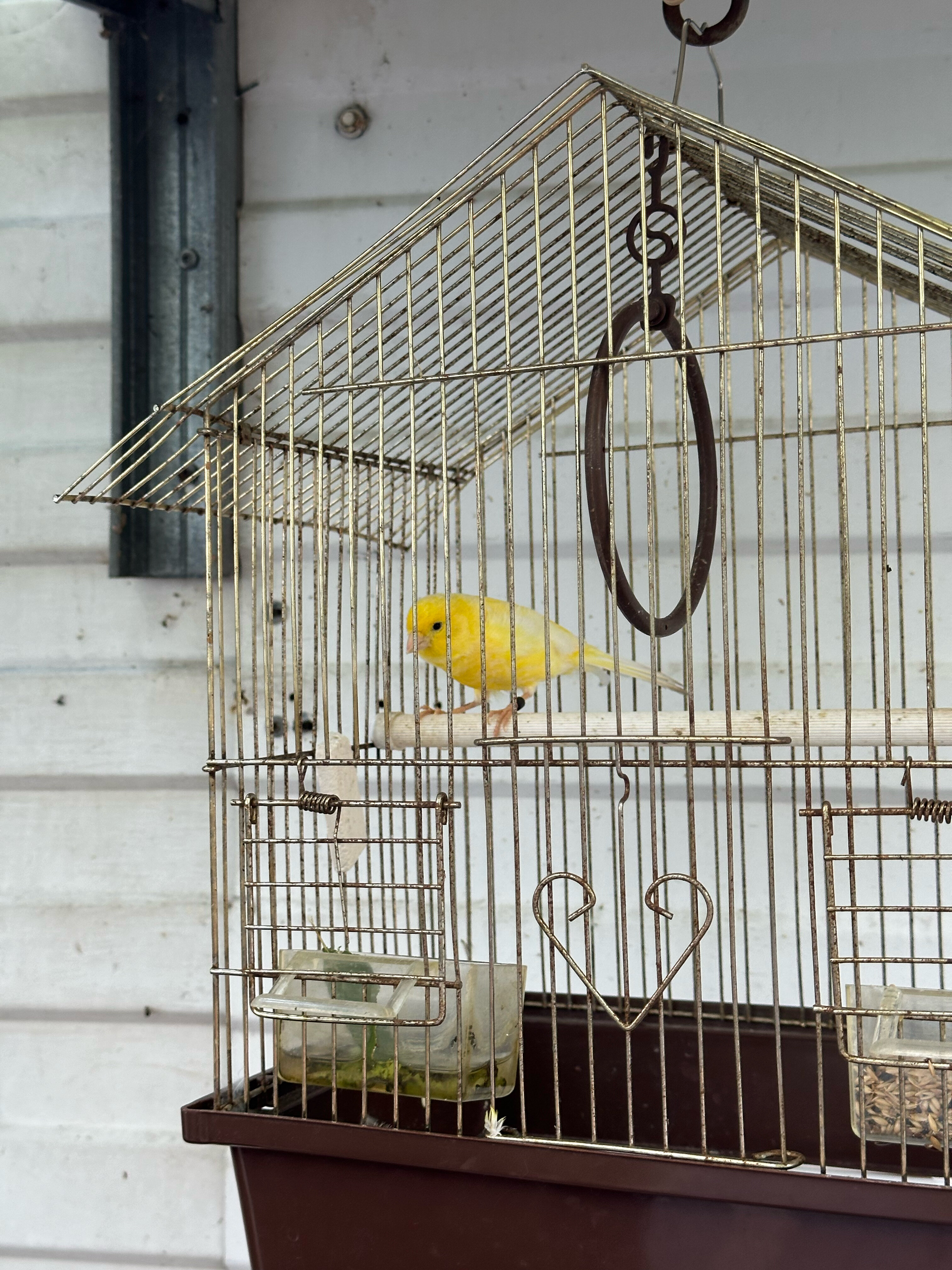 Фото Аква-Солярис