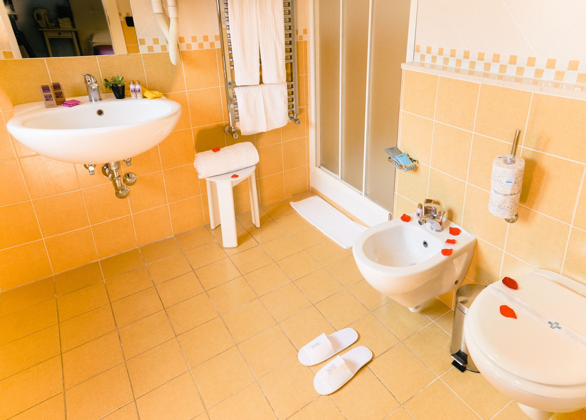 Фото Diana Inn Accomodations