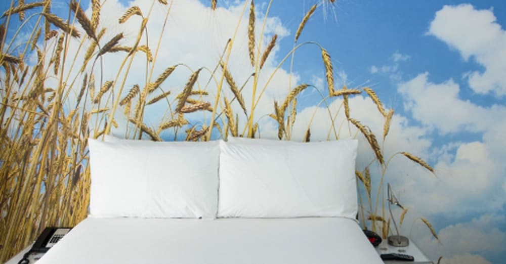 Фото The Penguin Hotel