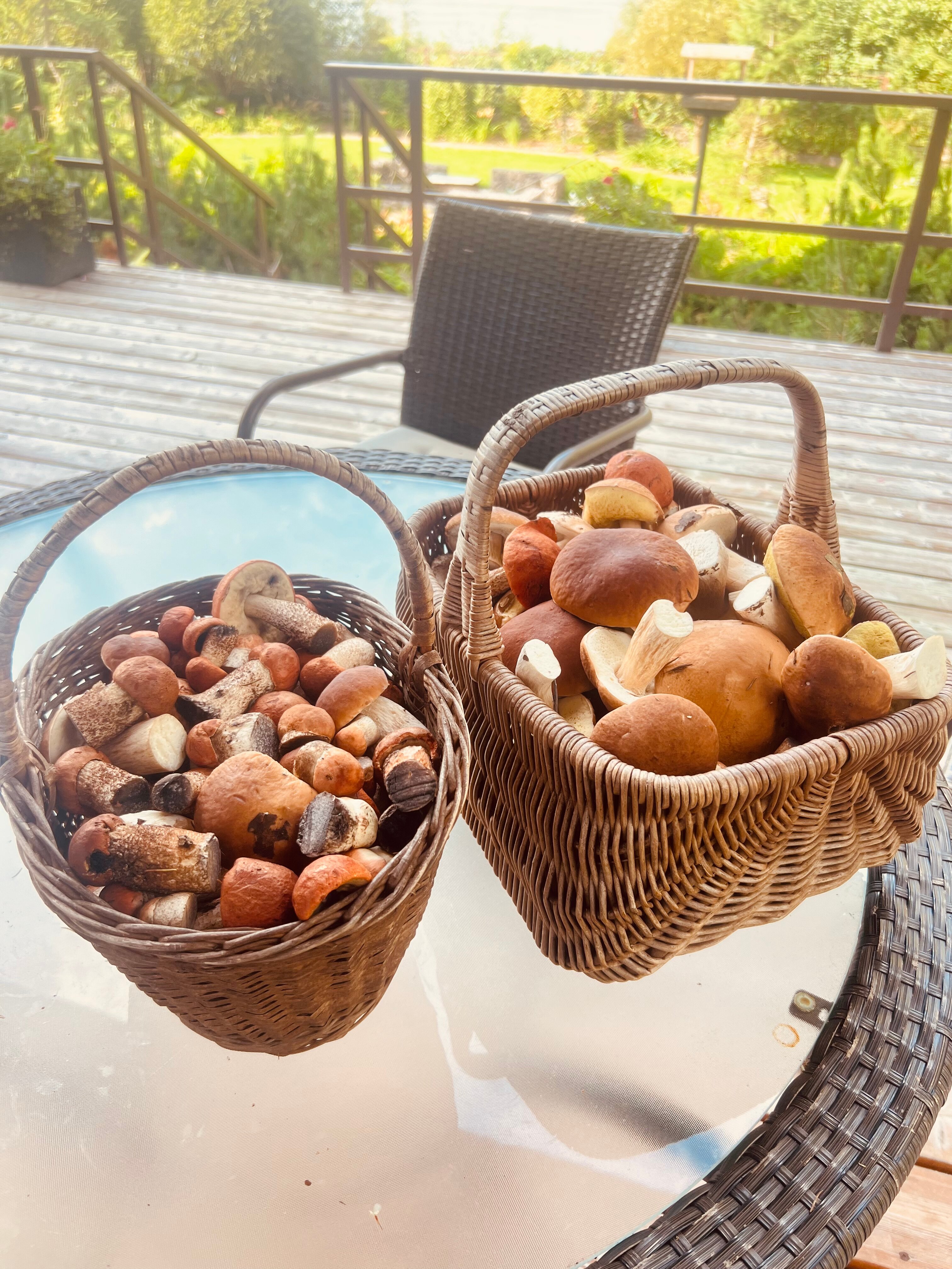 Фото Маро Лампи