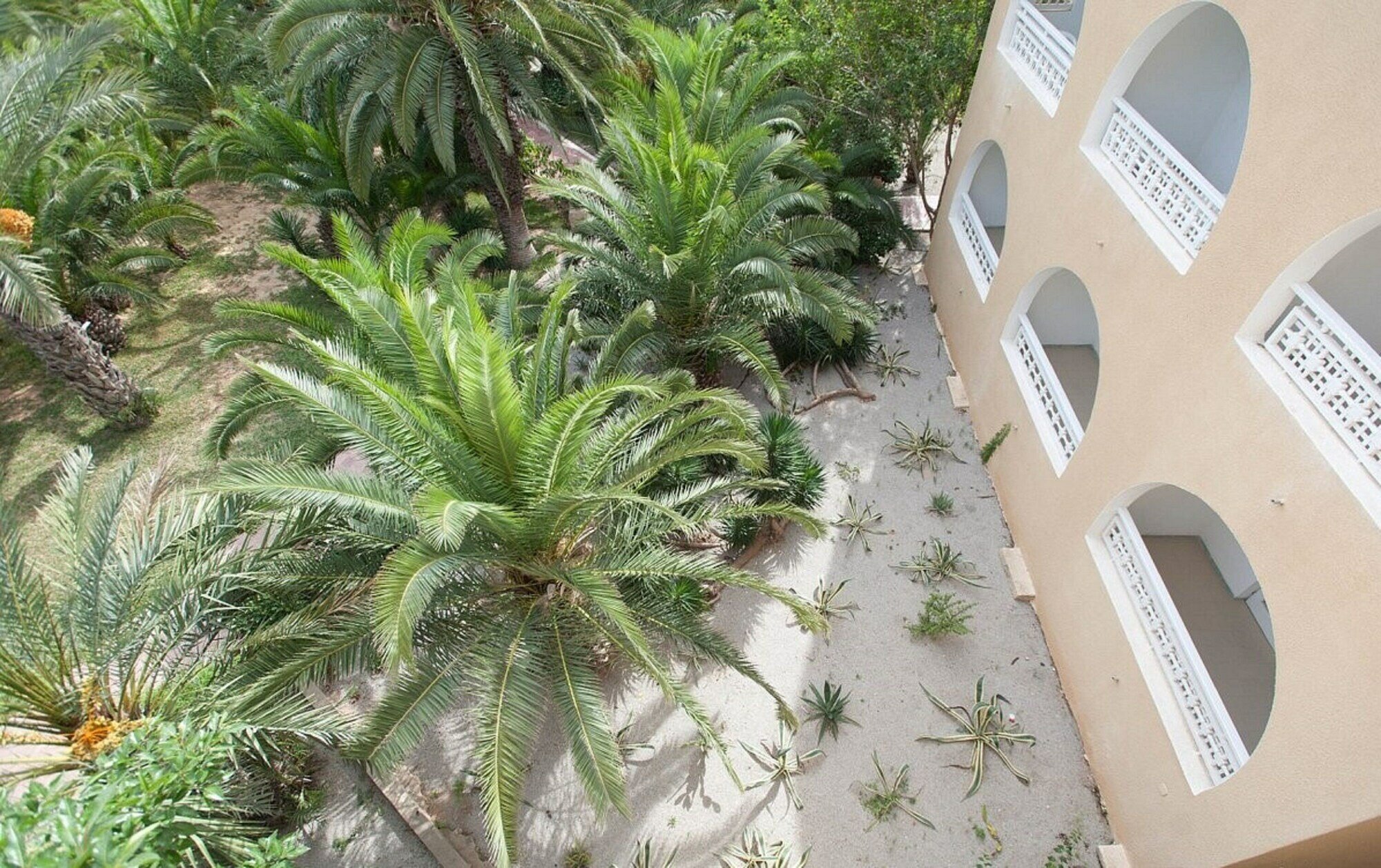 Фото Mediterranee Thalasso Golf