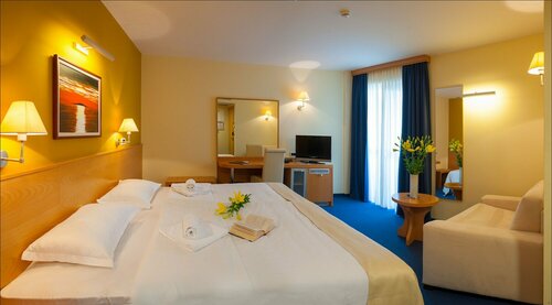 Гостиница Hotel Saudade