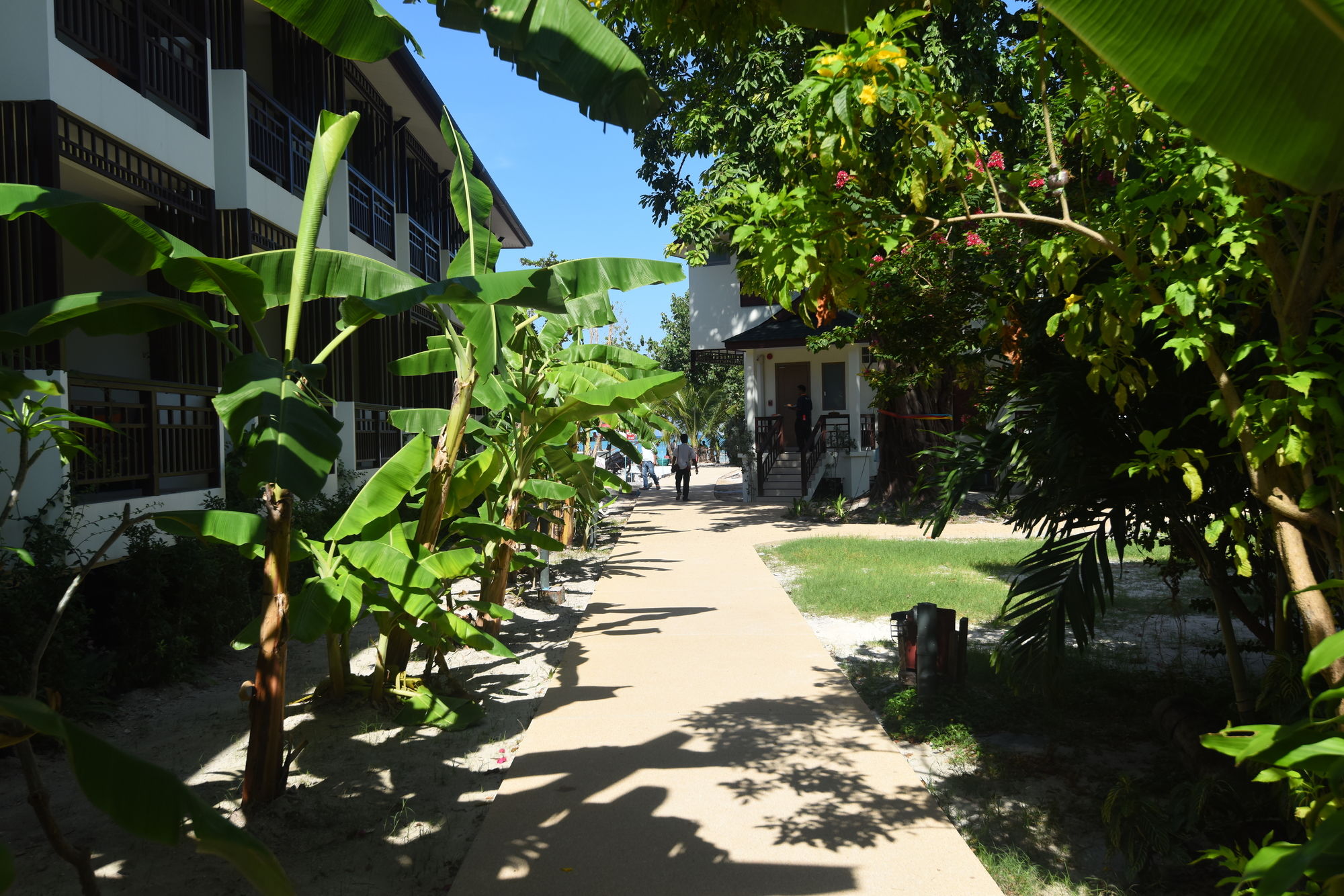 Фото Pp Charlie Beach Resort