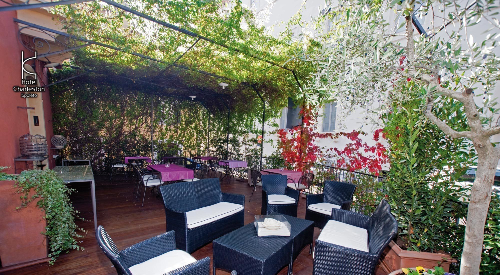 Фото Hotel Charleston