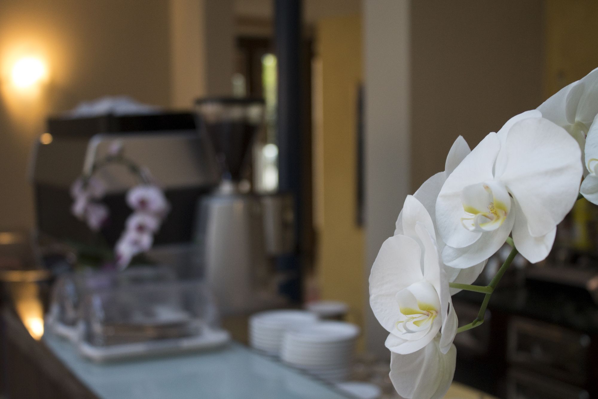 Фото Hotel Enrichetta