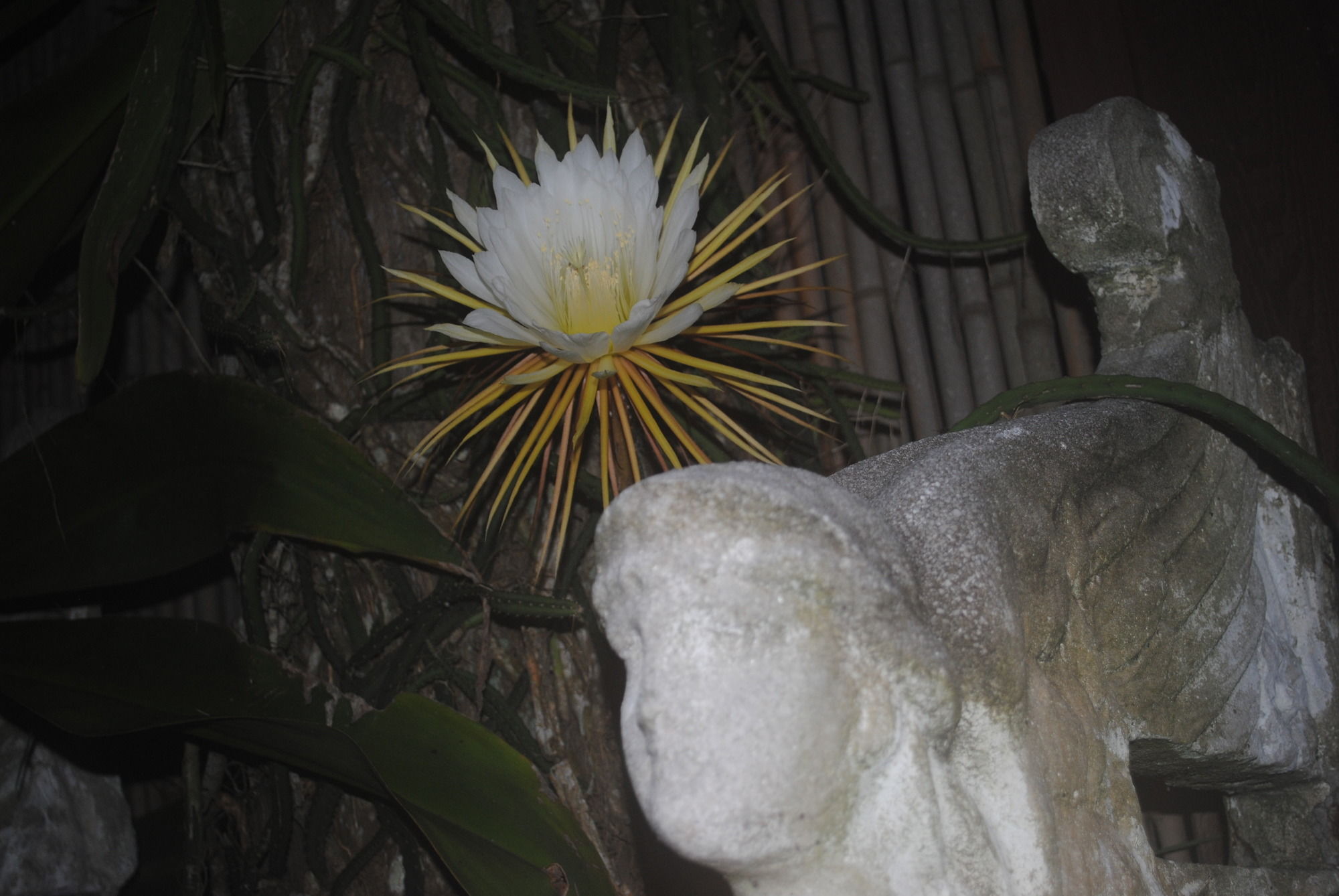 Фото Port d'Hiver