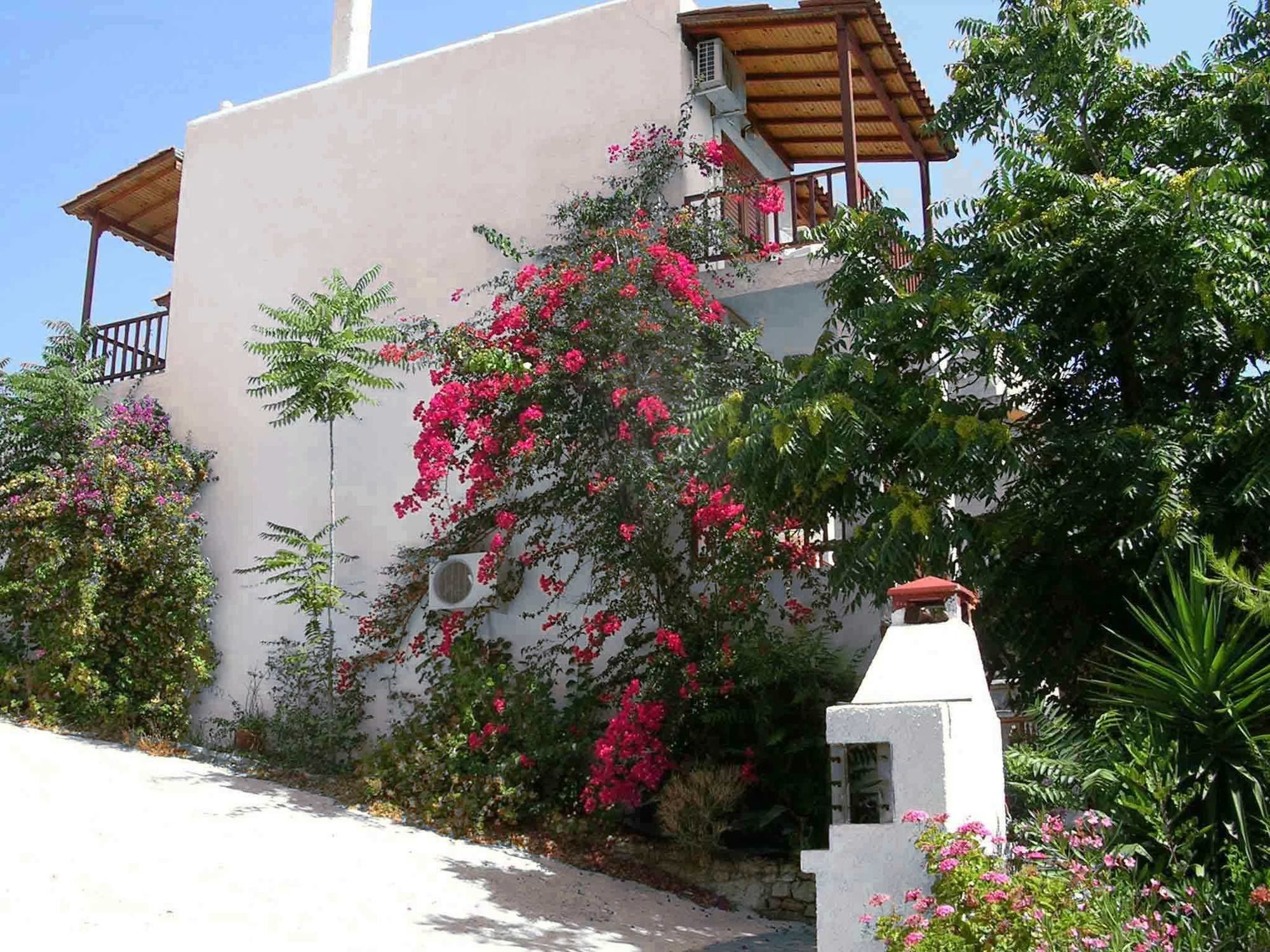 Фото 123 Soleil Studios