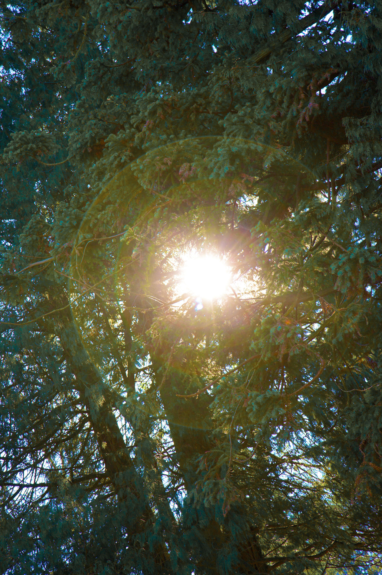 Фото The Cornwall Hotel SPA & Estate