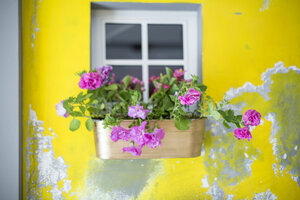 Гостиница Miss Sophie