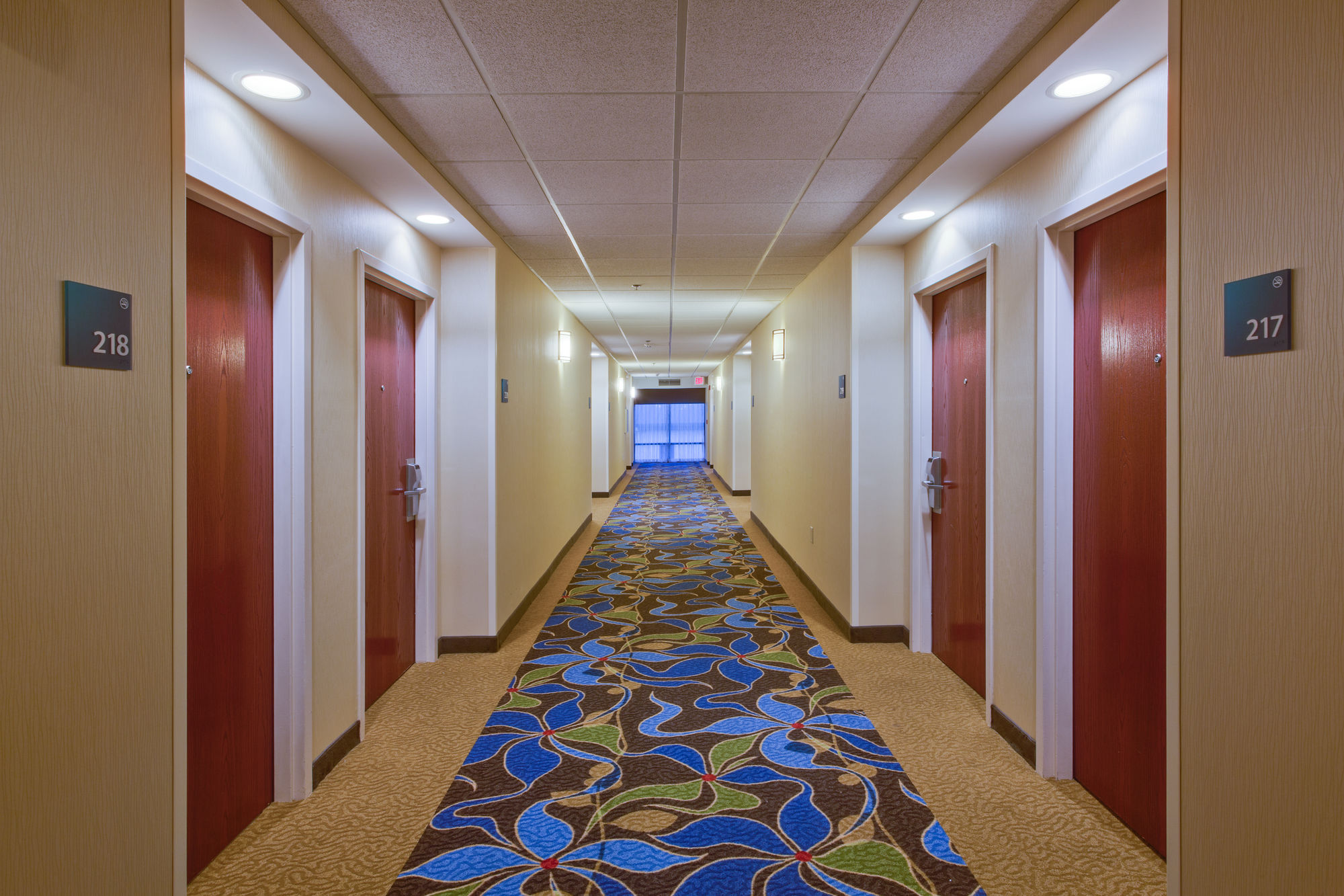 Фото Holiday Inn Express Hotel & Suites Tampa Northwest - Oldsmar, an Ihg Hotel