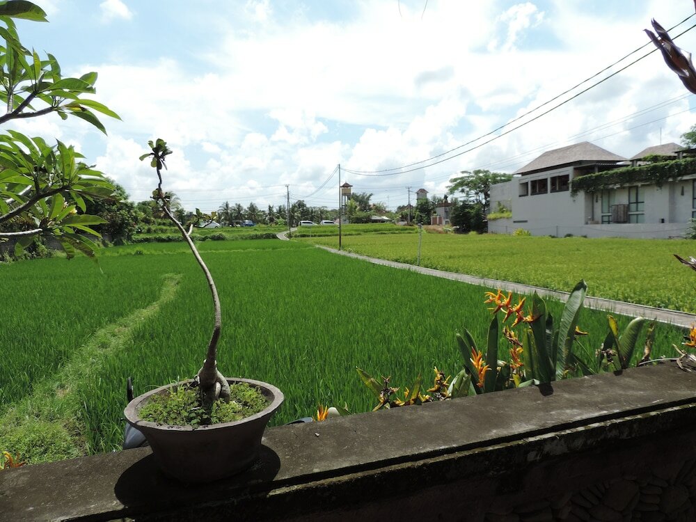 Фото Nick's Hidden Cottages