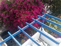 Фото Pelagos Studios