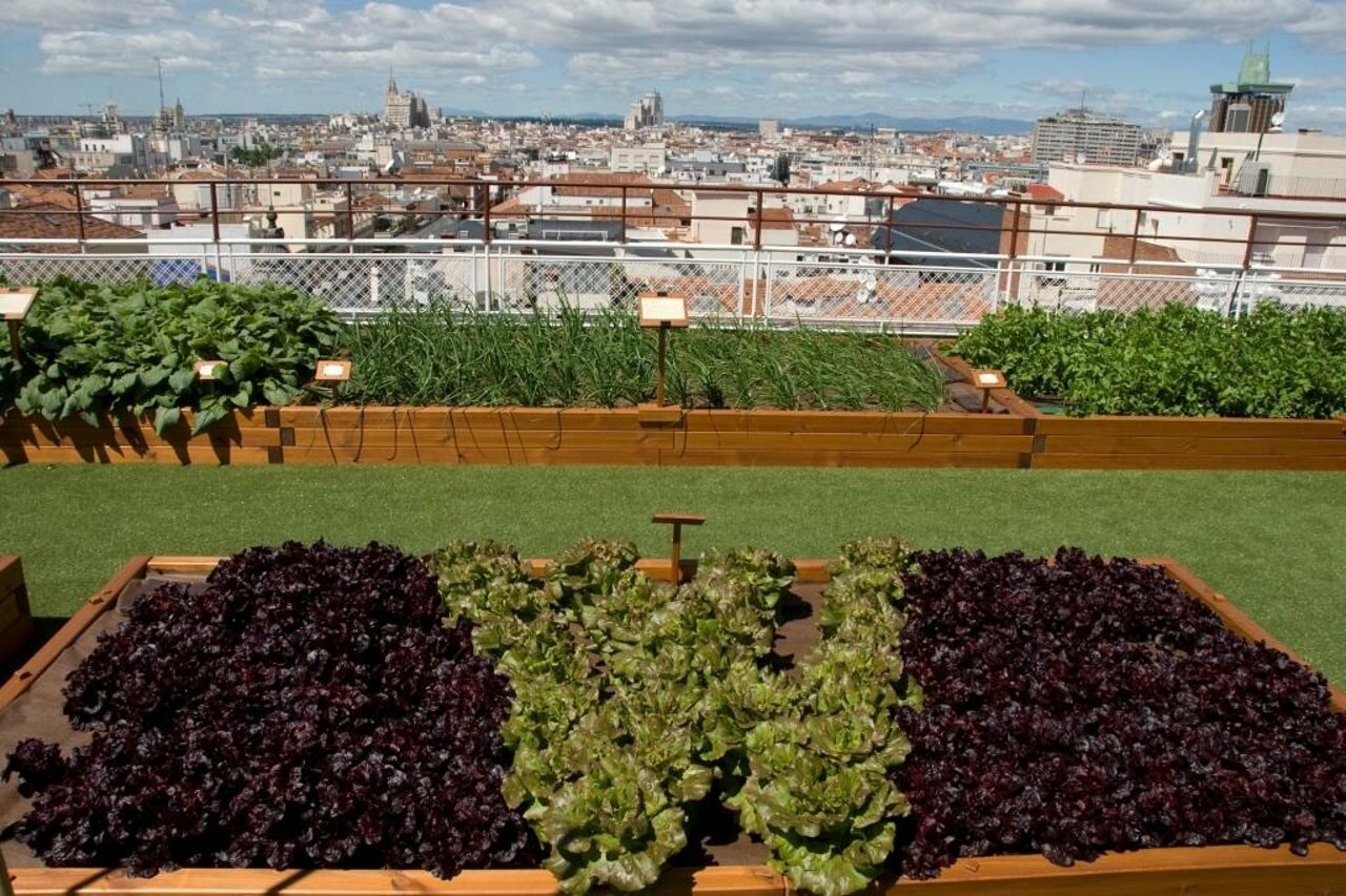 Фото Wellington Hotel & SPA Madrid