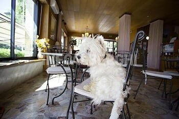 Фото Hotel Spiaggia Marconi