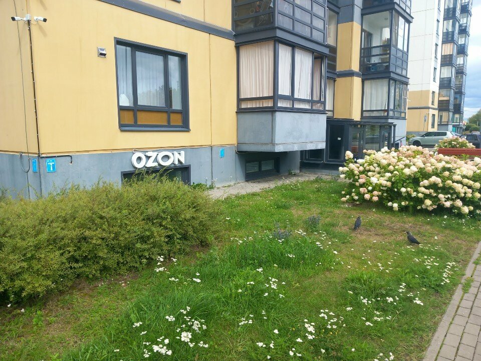 Point of delivery Ozon, Pskov, photo