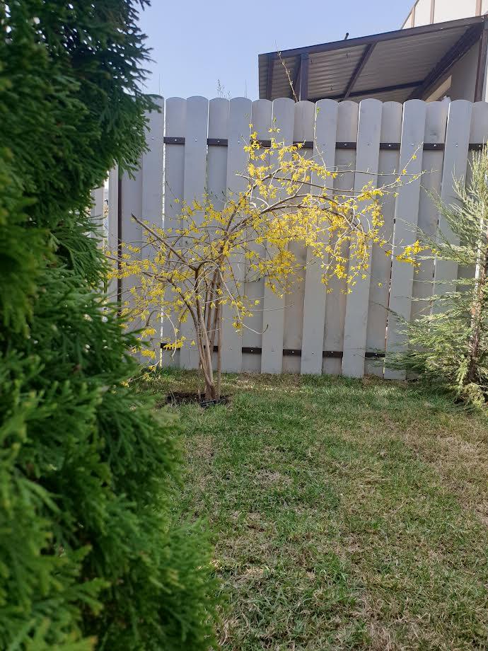 Фото Zvezda Village