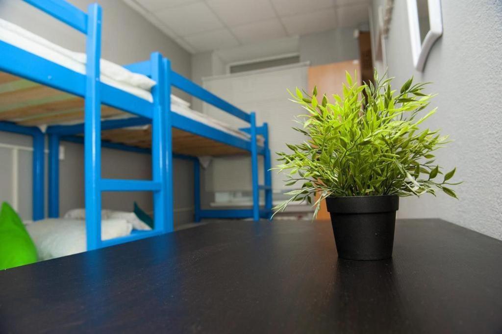 Фото Плюс Питер