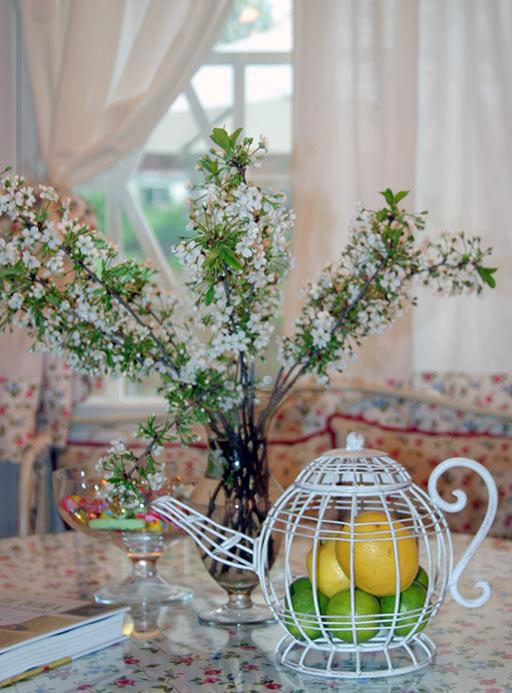 Фото Вишнёвый сад