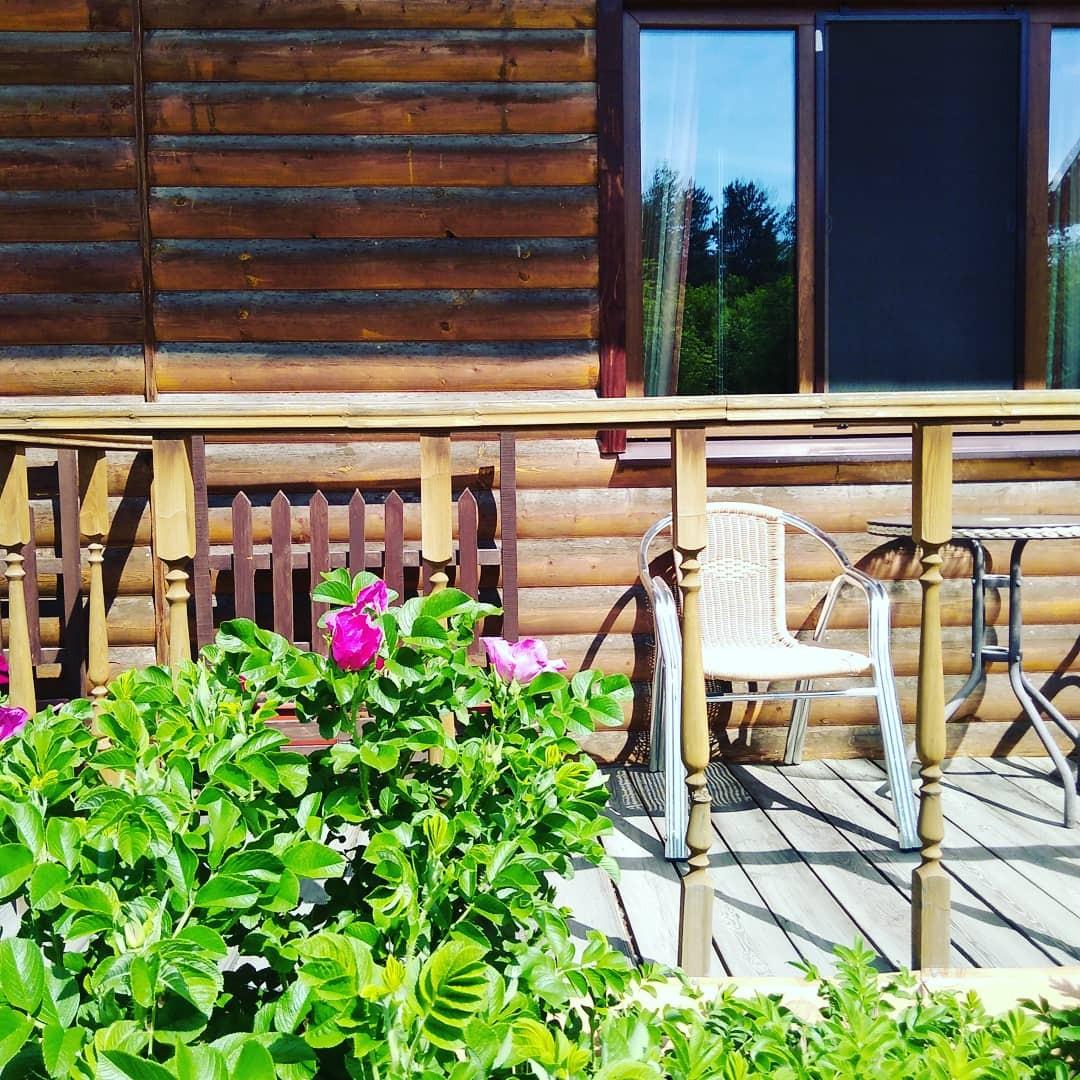 Фото Еловое