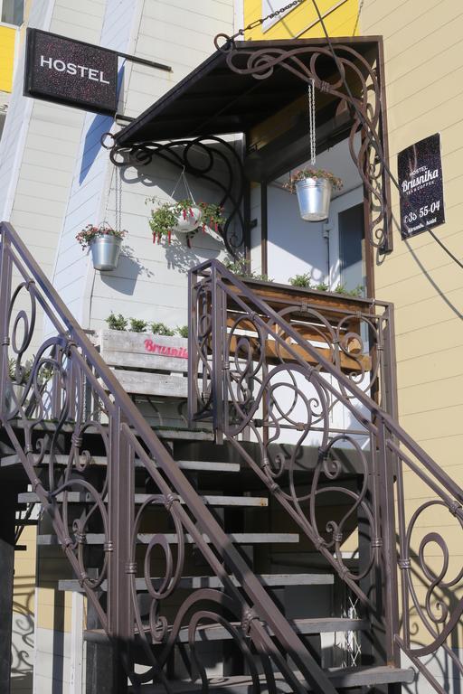 Фото Брусника