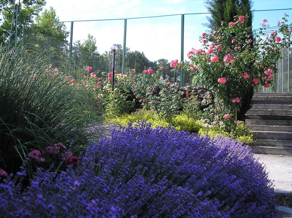 Фото Альбатрос