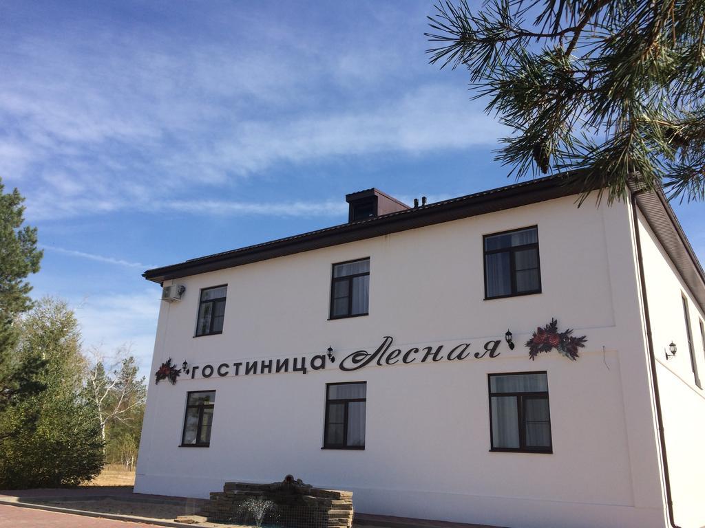 Фото Лесная