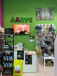 Lapus (Obukhovskoy Oborony Avenue, 116к1Е), pet shop