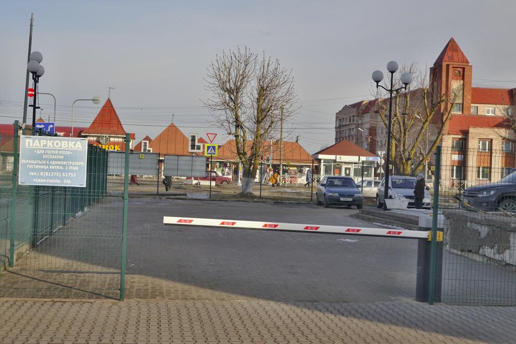 Фото Витязь