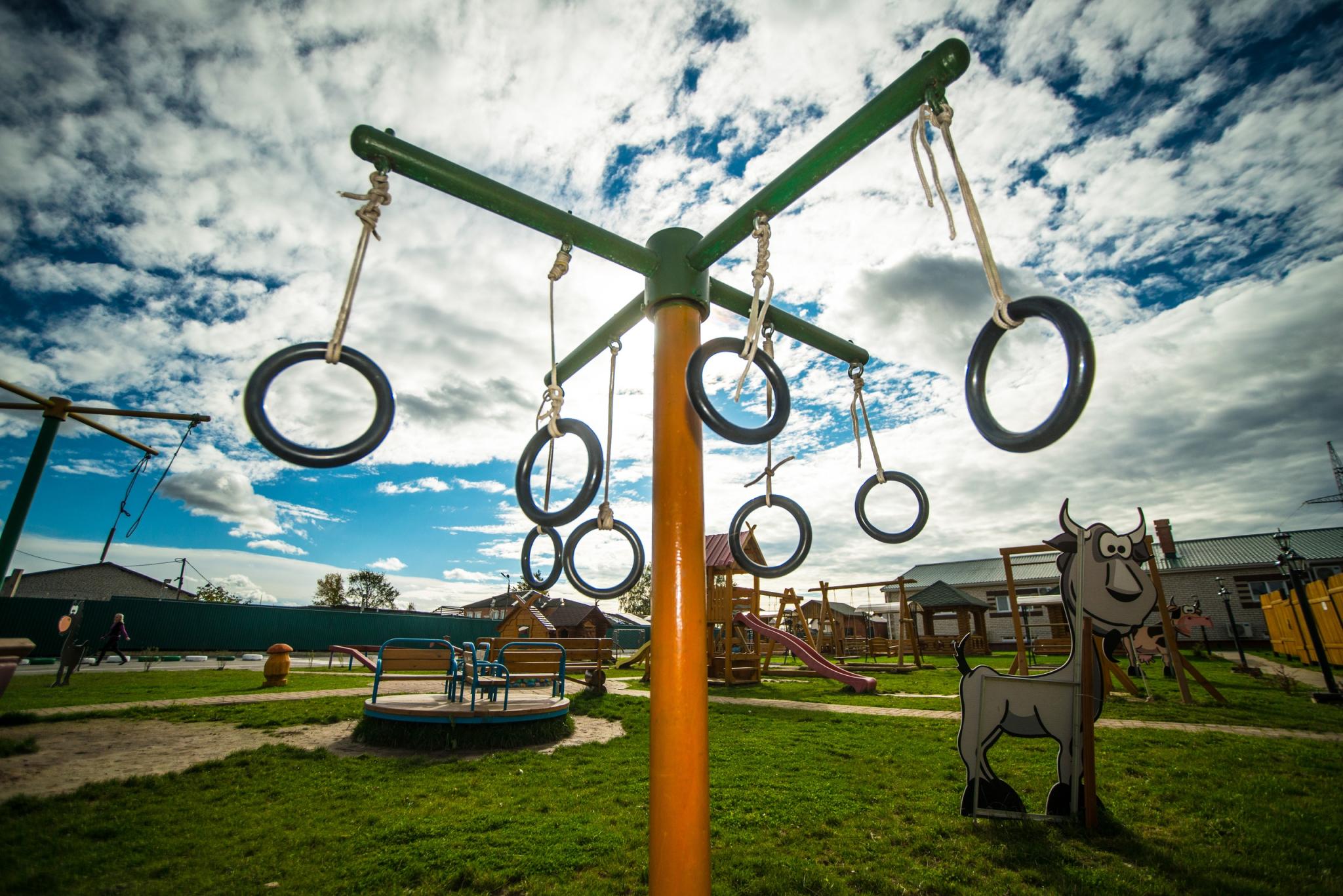 Фото Соколиха