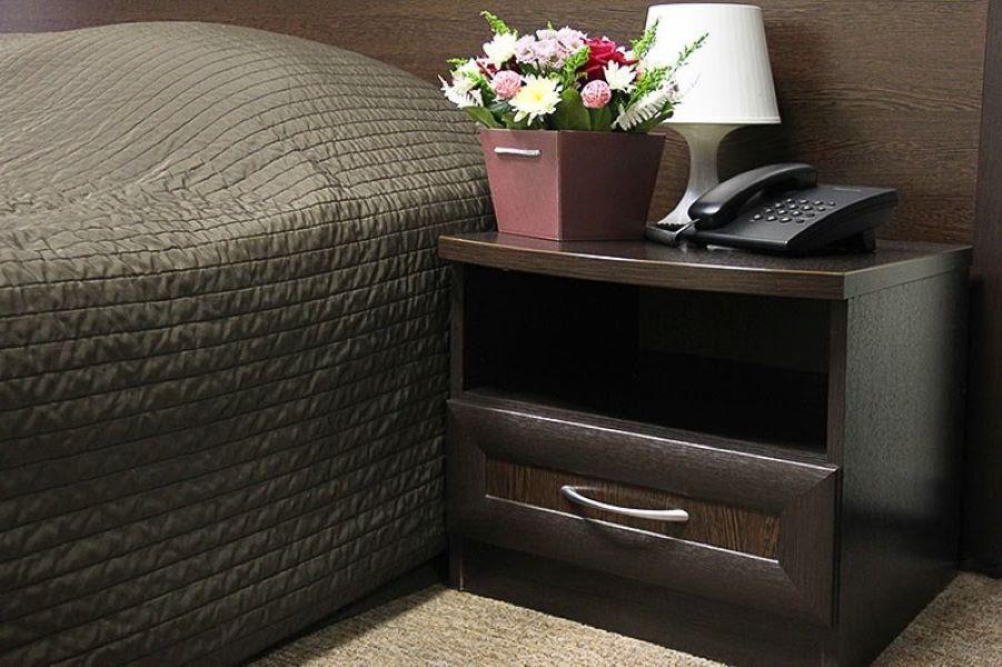 Фото Полярис