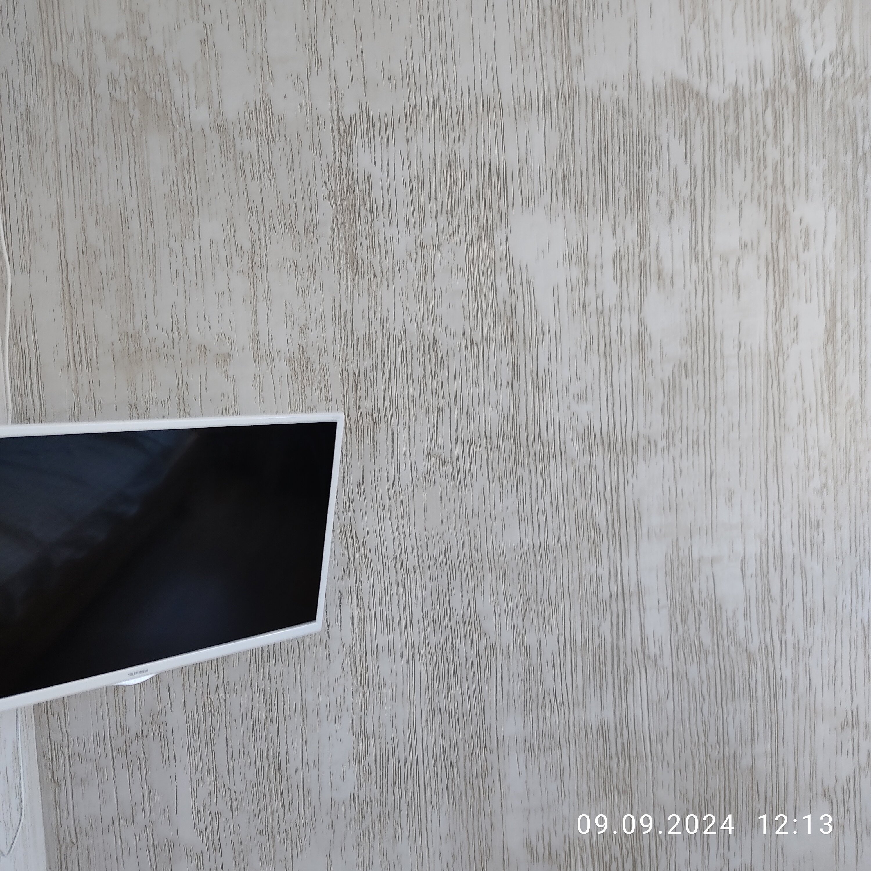 Фото Чемпион