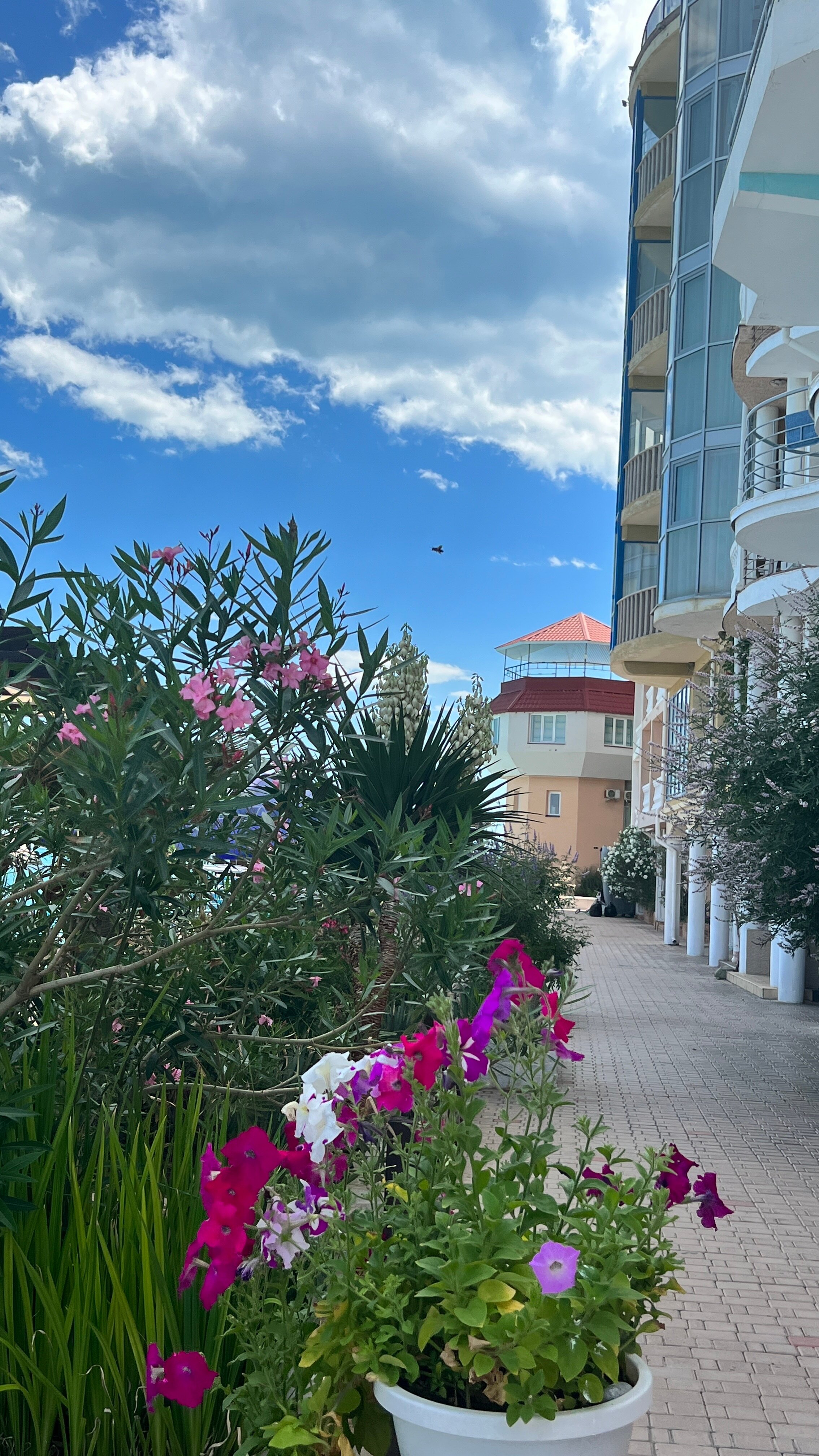 Фото Дольче-маре